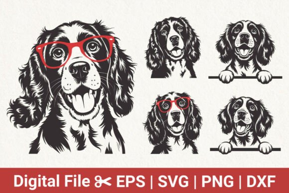 Cute Spaniel Dog Clipart Bundle SVG Review