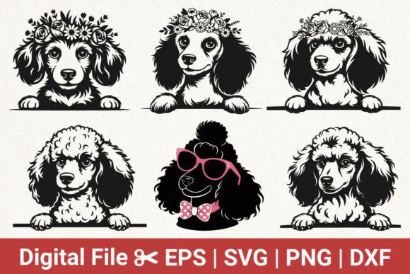 Floral Poodle and Puppy Dog Svg Bundle Review