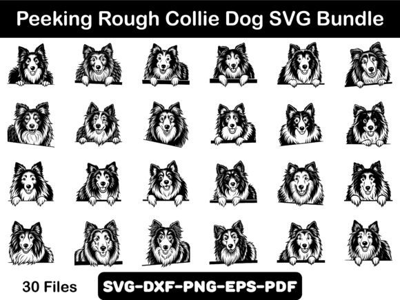 Peeking Rough Collie Dog SVG Bundle Review
